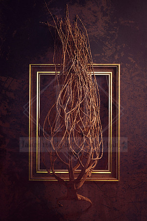 Nature Crown - Get Framed Series