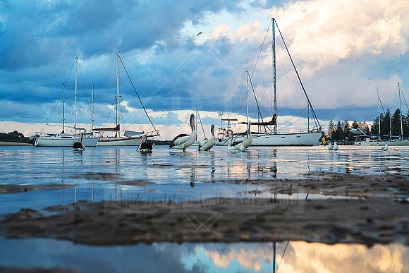 1210 Hastings foreshore Photo For Sale