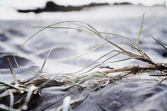 Coastal Calm - Coastal Aesthetic Design Prints. Port Macquarie