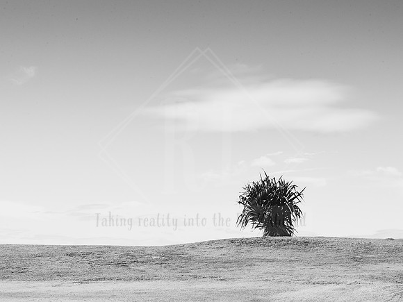 _ALI7787 Black & White Photography by Reimagined Images, Port Macquarie. Available as décor prints.