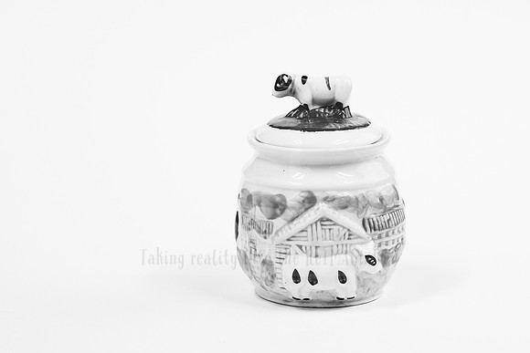 _ALI7801 Black & White Photography by Reimagined Images, Port Macquarie. Available as décor prints.