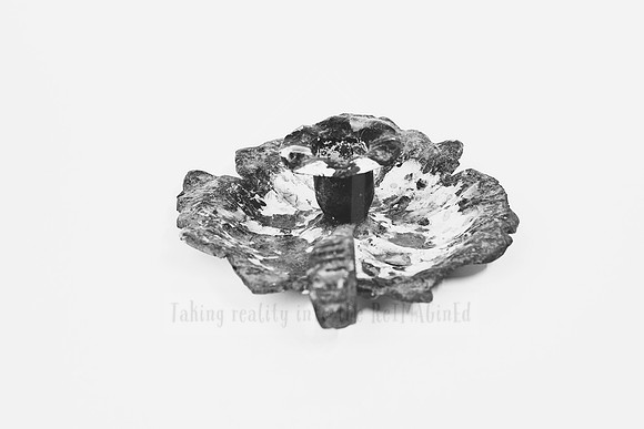 _ALI7835 Black & White Photography by Reimagined Images, Port Macquarie. Available as décor prints.