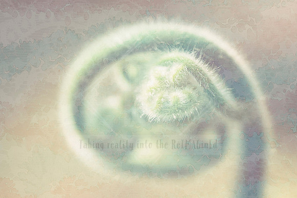 Gently Delicately Softly Almost There
