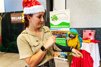 A moment captured from Billabong Zoo with business members at the Christmas party