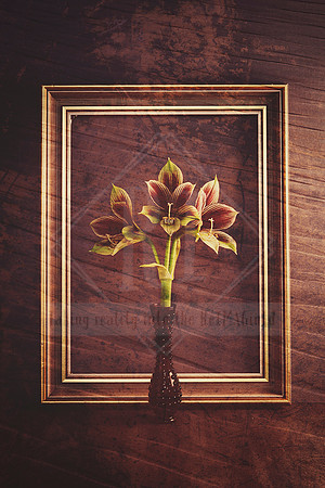 With Us - Get Framed Series