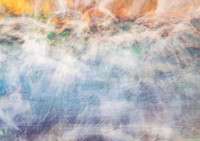 Abstract photomedia artwork featuring soft layers of feathery grasses, luminous golden light, misty whites, pale blues, and subtle lavender tones. The image has a dreamlike, flowing quality with gentl
