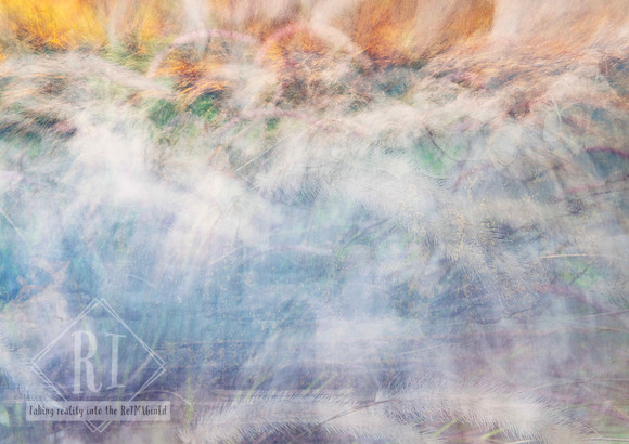 Abstract photomedia artwork featuring soft layers of feathery grasses, luminous golden light, misty whites, pale blues, and subtle lavender tones. The image has a dreamlike, flowing quality with gentl