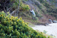 mindful_photography_classport_macquarie0039
