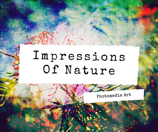 impressions-of-nature Art - Port Macquarie - Reimagined Images - photomedia-art-for-sale