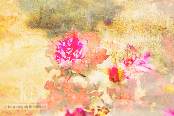 Fleeting Fragrance
