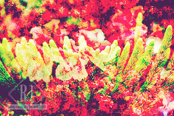 Festivities Of Flora