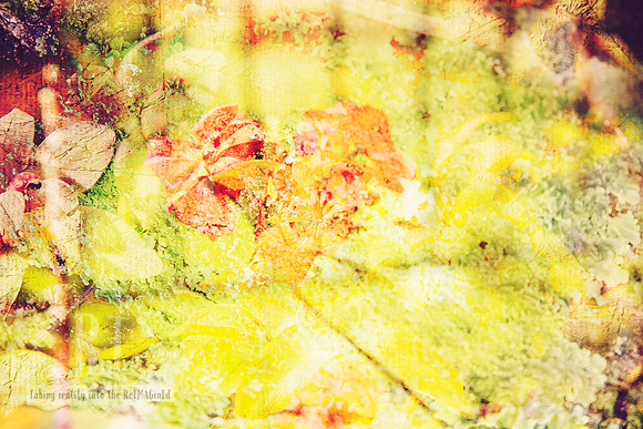 Gathered in Gold