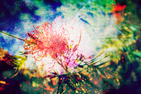 Where Colour Returns