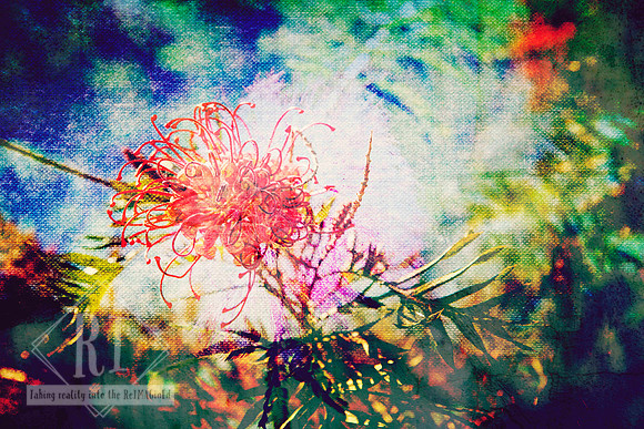 Where Colour Returns