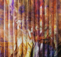 _R262595 cropped copy