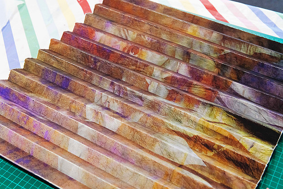 _R262593 copy