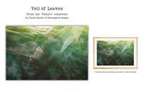 Veil of Leaves - Art Prints for sale, Designed By Reimagined Images