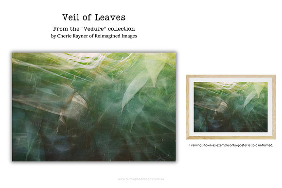 Veil of Leaves - Art Prints for sale, Designed By Reimagined Images