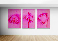 Reclaimed Bloom Pretty In Pink - Reimagined Images Port Macquarie