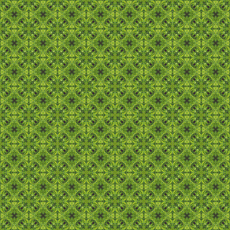 RIR-0055-seamless-pattern copy