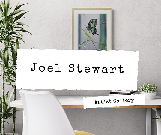 Joel Stewart Art