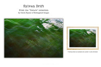 Sylvan Drift - Art Prints for sale, Designed By Reimagined Images