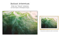 Radiant Arboretum - Art Prints for sale, Designed By Reimagined Images