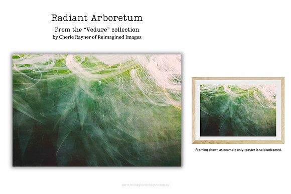 Radiant Arboretum - Art Prints for sale, Designed By Reimagined Images