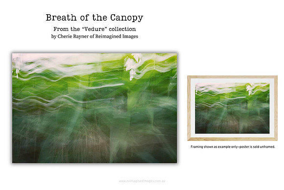 Breath of the Canopy - Art Prints for sale, Designed By Reimagined Images