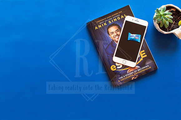 Bright flat lay of book, phone, and succulent on bold blue background—styled content for digital brand visibility.
