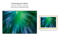 Chlorophyll Echo - Art Prints for sale, Designed By Reimagined Images
