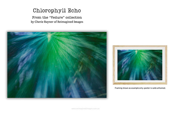 Chlorophyll Echo - Art Prints for sale, Designed By Reimagined Images