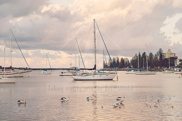 1207 Hastings foreshore Photo For Sale