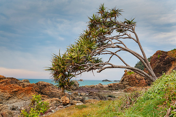 Minors Beach Port Macquarie Photos by Chere Morton of Reimagined Images, NSW, Australia