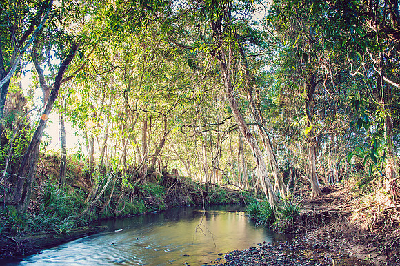 Hastings Hinterland Photos by Chere Morton of Reimagined Images, NSW, Australia