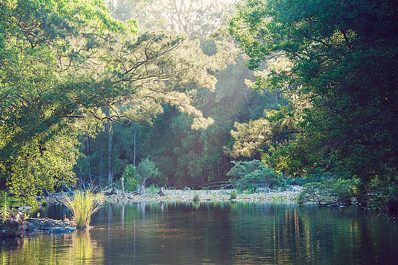 Hastings Hinterland Photos by Chere Morton of Reimagined Images, NSW, Australia