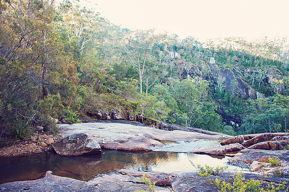 Hastings Hinterland Photos by Chere Morton of Reimagined Images, NSW, Australia