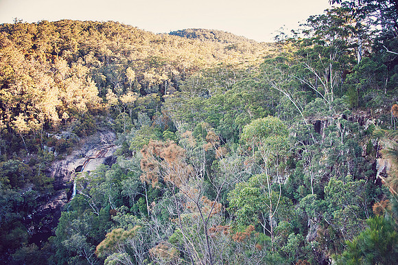 Hastings Hinterland Photos by Chere Morton of Reimagined Images, NSW, Australia