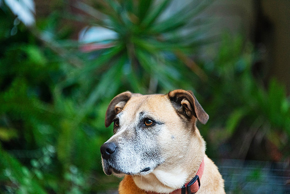 Documenting life 100th's of a second at a time - Port Macquarie - Images photographed  Cherie Morton