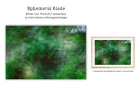Ephemeral Glade - Art Prints for sale, Designed By Reimagined Images