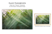Sunlit Undergrowth - Art Prints for sale, Designed By Reimagined Images