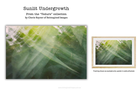 Sunlit Undergrowth - Art Prints for sale, Designed By Reimagined Images