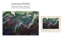 Luminous Thicket - Art Prints for sale, Designed By Reimagined Images