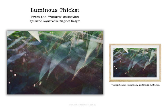 Luminous Thicket - Art Prints for sale, Designed By Reimagined Images