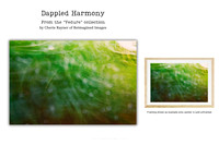 Dappled Harmony - Art Prints for sale, Designed By Reimagined Images
