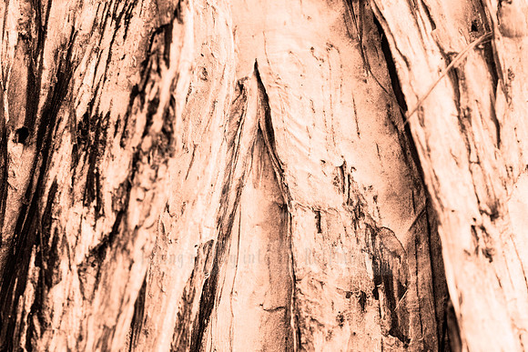 Fairy Door - In Peach Fuzz, limited offer, decor prints. Port Macquarie