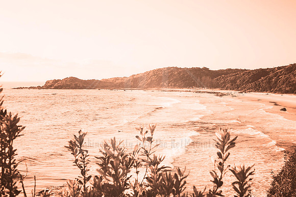 Day Tripping - In Peach Fuzz, limited offer, decor prints. Port Macquarie