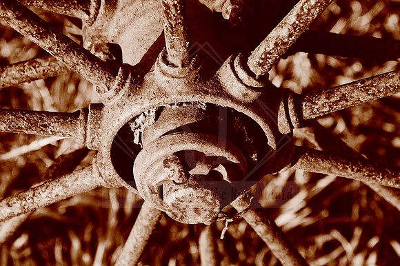 Bygones - In Peach Fuzz, limited offer, decor prints. Port Macquarie