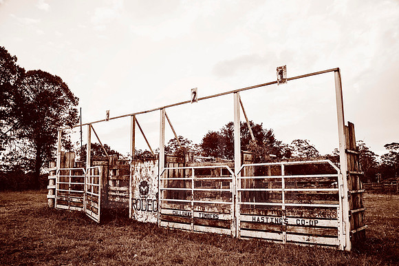 Days Gone By - In Peach Fuzz, limited offer, decor prints. Port Macquarie