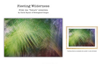 Fleeting Wilderness - Art Prints for sale, Designed By Reimagined Images